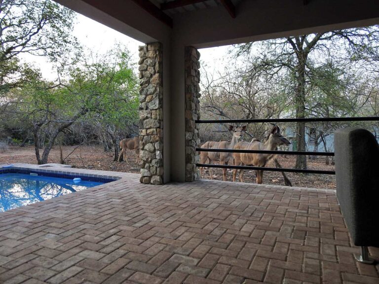 #papillonsafarihouse